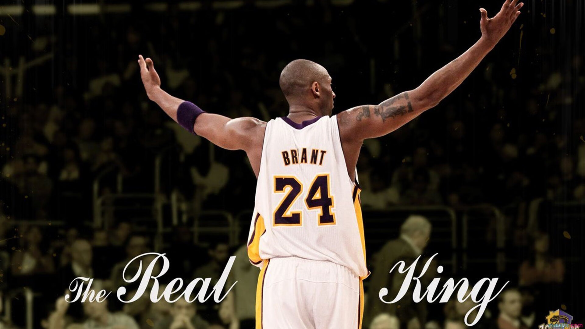 爱游戏大厅-联合杯绝杀温网，纳达尔带队，一场超越传统的胜利